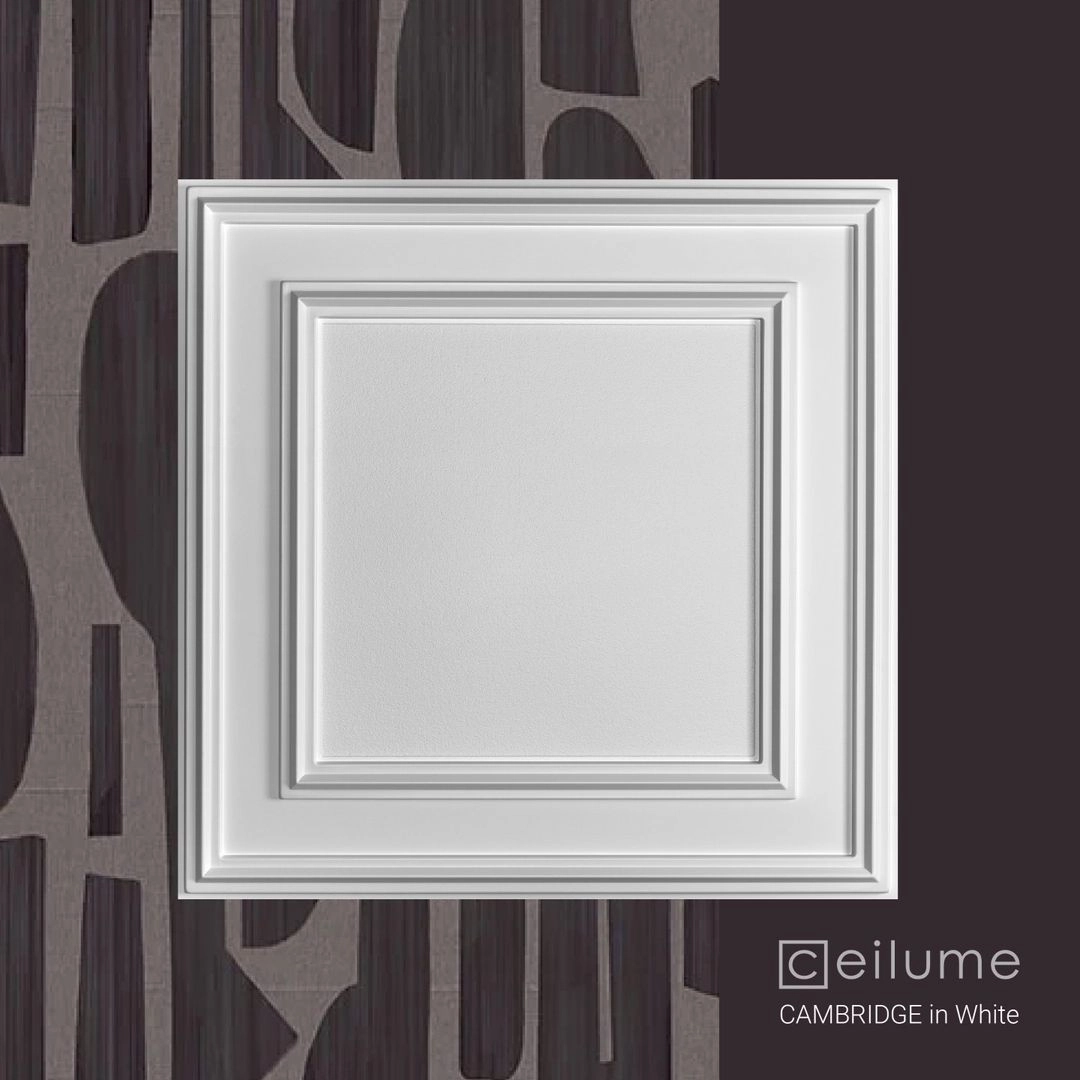 cambridge 2x2 white ceiling tile context