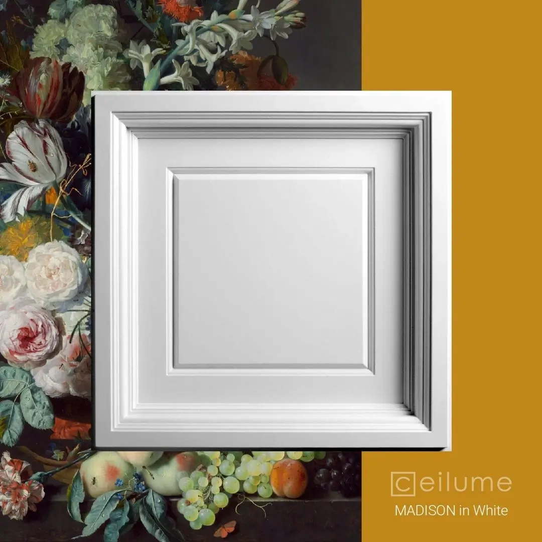 madison 2x2 white ceiling tile context