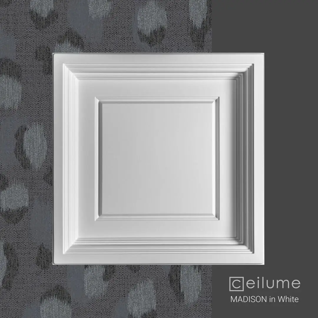 madison 2x2 white ceiling tile context