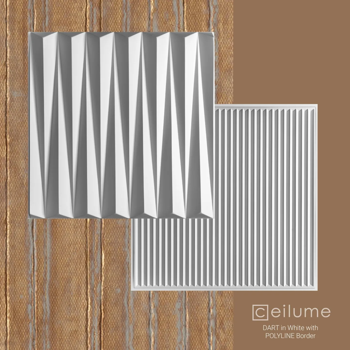 Polyline white context