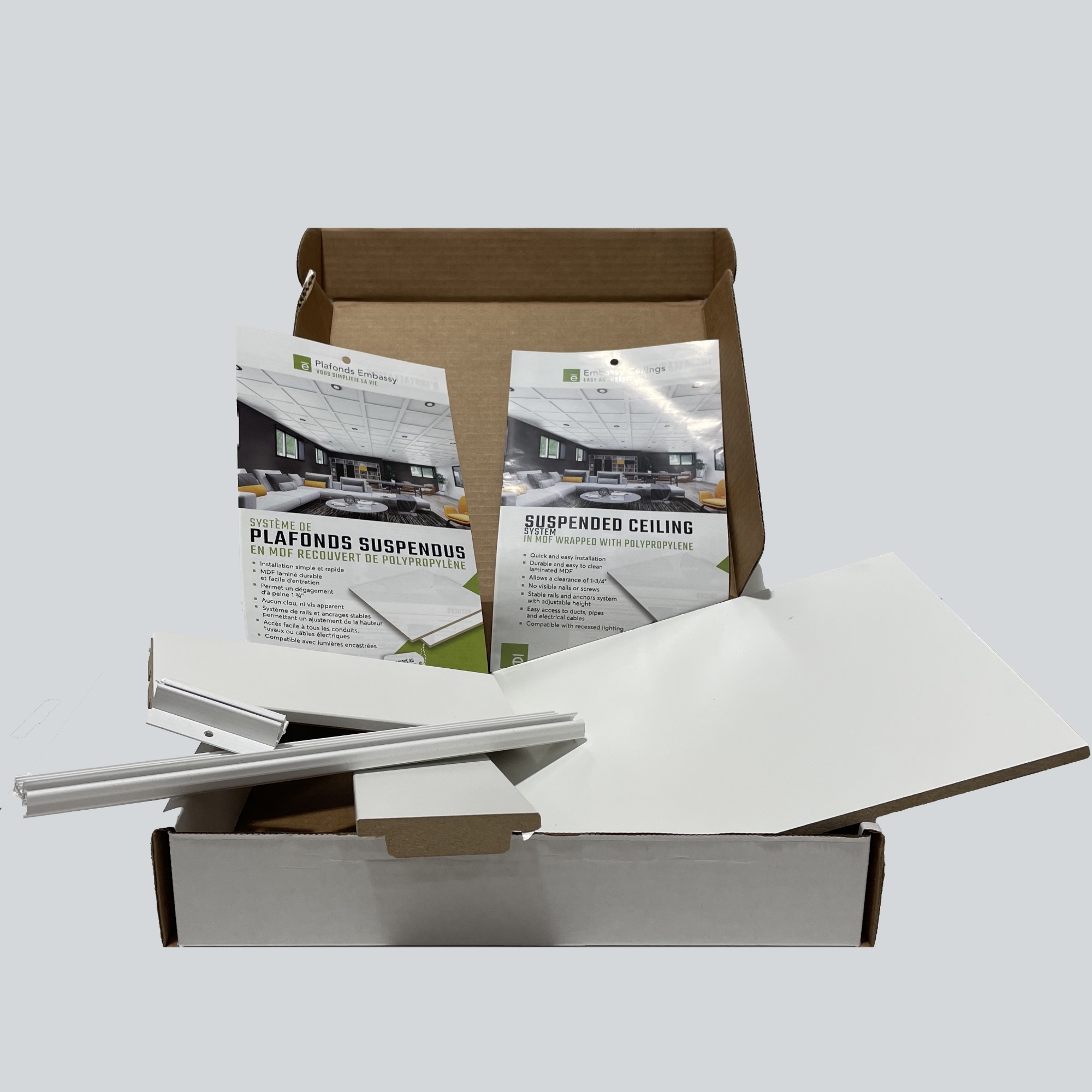 embassy_ceiling_sample embassy ceiling sample