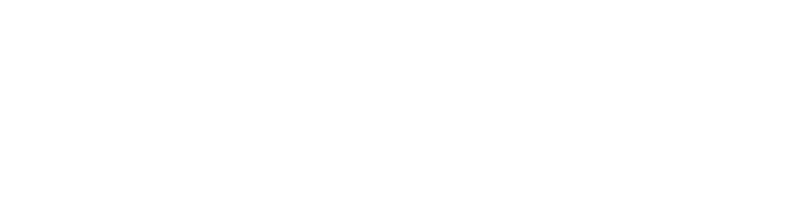 LEVANTO logo