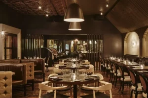 ceilume avalon copper