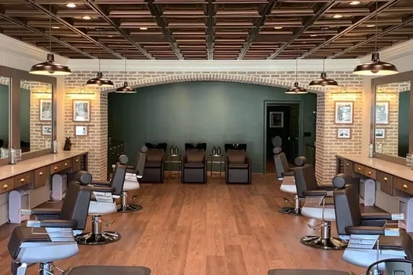 ceilume madison bronze