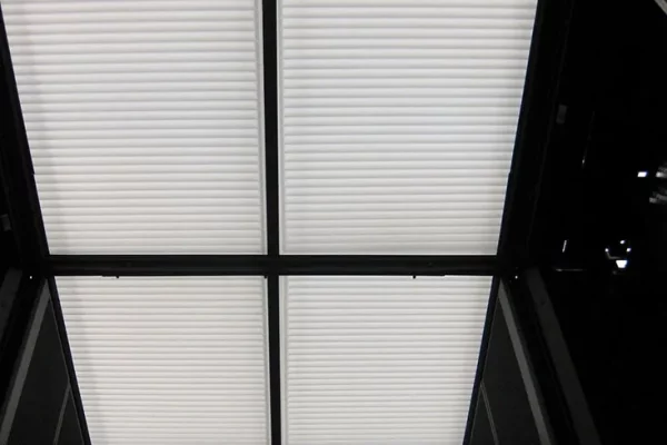 Ceilume Polyline White